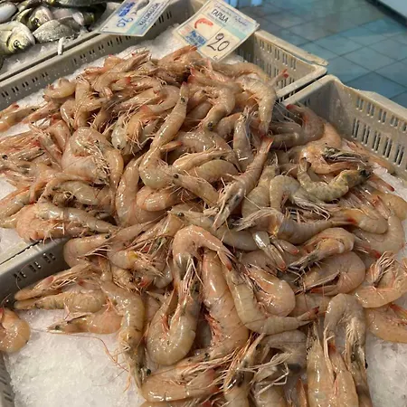 شقة Dimitar نيا ميشانيونا