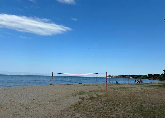 Dimitar 尼亚米卡尼奥纳