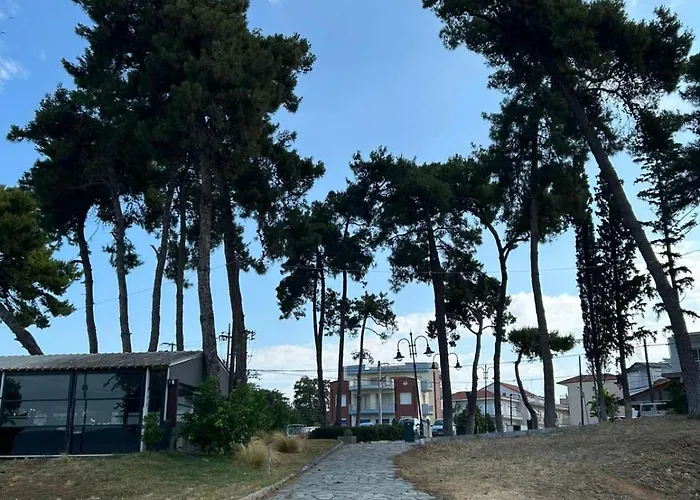 Dimitar * 尼亚米卡尼奥纳