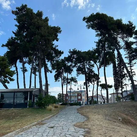 Dimitar * Nea Michaniona