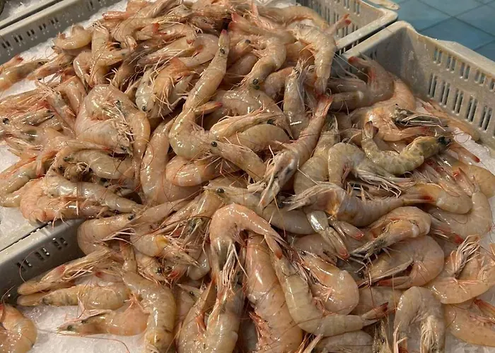 Apartamento Dimitar Nea Michaniona